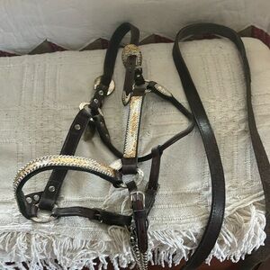 Circle Y show halter and lead
